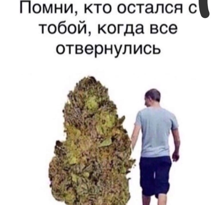 +++