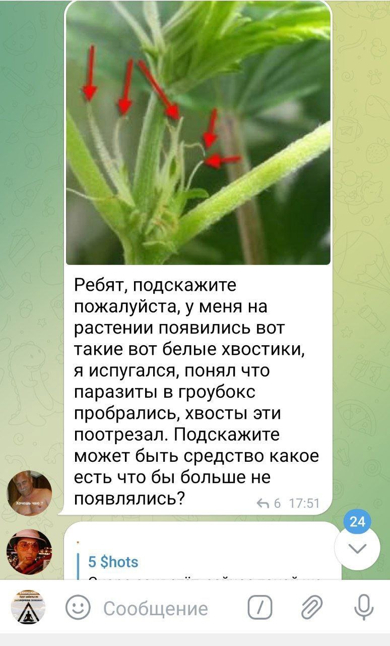 +++