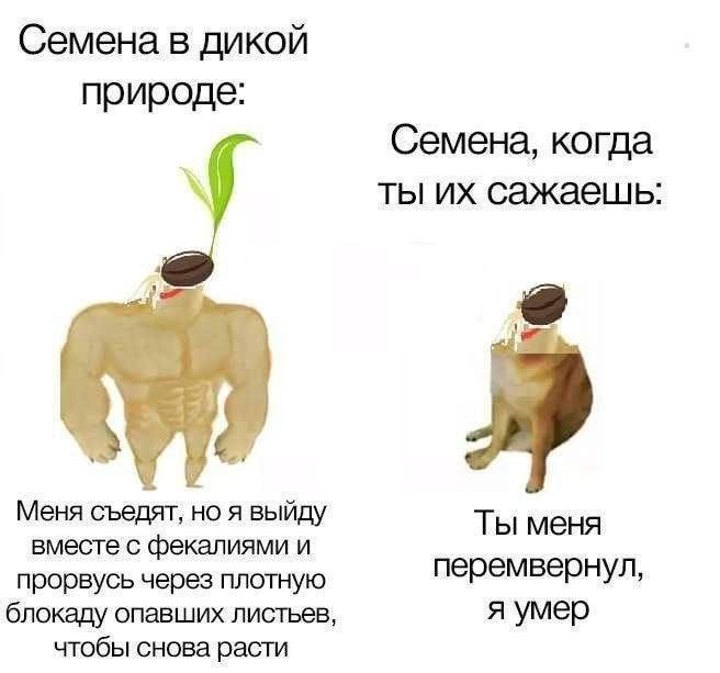 +++